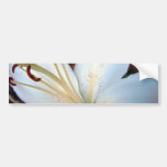 Pretty White Lily Bumper Stickers