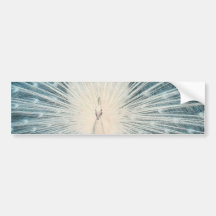 Pretty White Peacock Bumper Sticker