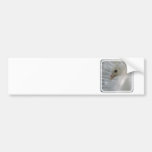 Pretty White Peacock Bumper Sticker