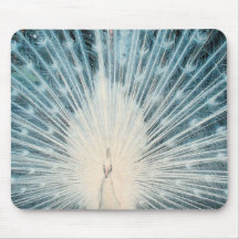 Pretty White Peacock Mouse Pads