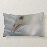 Pretty White Peacock Pillow