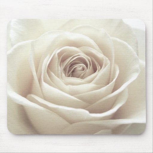Pretty white rose mousemats