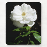 Pretty White Rose Mousemats