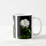 Pretty White Rose Mugs