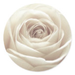 Pretty White Rose Sticker