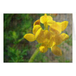 Pretty Yellow Weed cards