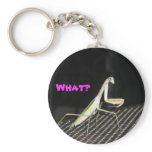 Preying Mantis keychains