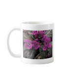 Pribilof wildflowers, Primula Mugs