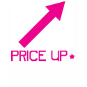 PRICE UP! t-shirts