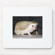 Prickly Baby Items Mouse Pad