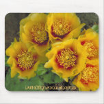 Prickly Pear Cactus Blossoms Mousepad