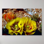 Prickly Pear Cactus Print