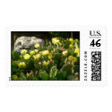 Prickly Pear Cactus stamp