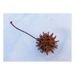 Prickly Seed ~ ATC card business cards