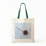 Prickly Seed ~ bag