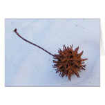 Prickly Seed ~ card