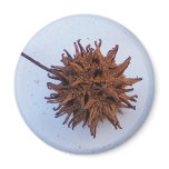 Prickly Seed ~ magnet
