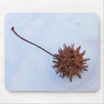 Prickly Seed ~ mousepad