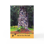 Priest River Shoe Tree, Dad, Birthday cards