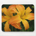 Primal Scream Daylily Mouse Mats