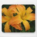 Primal Scream Daylily mousepads