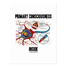 Primary Consciousness Inside (Neuron / Synapse) Postcard
