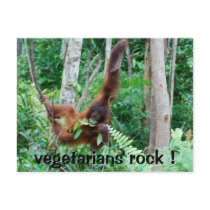 Primate Vegetarians Rock !