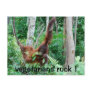 Primate Vegetarians Rock !