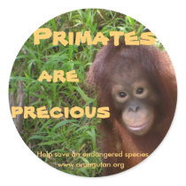 Primates are Precious