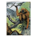 Primates - four cards
