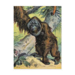 Primates - four postcards