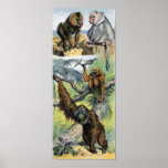 Primates - four posters