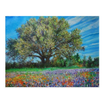 Primavera Tejas Postcard