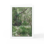 Primordial Landscape Greeting Card