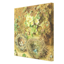 Primroses and Birds' Nests Canvas Prints