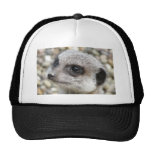 Prince charmimg hat