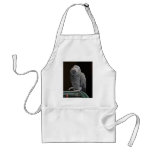 Princess Diana Aprons