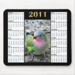 Princess Parrot 2011 Calendar Mousepad