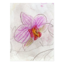 print of pink orchid drawing postcard