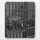 Prison Use Pad