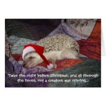 Prissy Christmas Card 2006