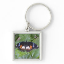 Prized Butterfly Key Chains