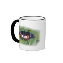 Prized Butterfly Mug