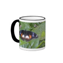 Prized Butterfly Coffee Mugs