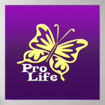Pro Life