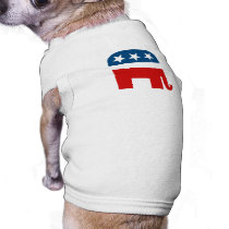 Pro-Republican / Anti-Democrat