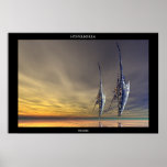 Probes Poster