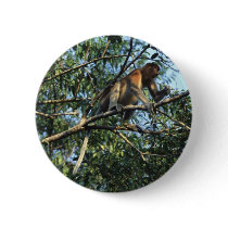Proboscis Monkey in Borneo Pins