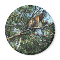 Proboscis Monkey in Borneo Refrigerator Magnet