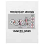 Process Of Meiosis Ongoing Inside flyers